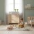 20250524_150740160_iOS-Pphotoroom_1 (Product Staging)-Photoroom 3.jpg